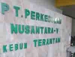 Kinerja Manajer PTPN V Kebun Terantam Dipertanyakan, Ketua LiPA BUMN Nilai Manajer PTPN V Kebun Terantam Harus Dievaluasi, Jika Benar Terjadi