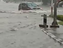 KNPI Riau Siapkan Lomba Memancing dan Berenang Piala Pesek Pj Walikota Pekanbaru, Beberapa Jam Hujan Kota Pekanbaru Banjir