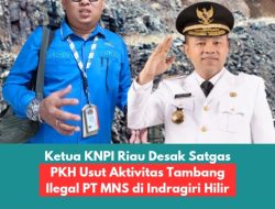 Ketua KNPI Riau Desak Satgas PKH Usut Aktivitas Tambang Ilegal PT MNS di Indragiri Hilir.