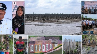 Proyek Mangrove Miliaran Rupiah di Kuala Selat, Demi Penyelamatan dan Pelestarian Lingkungan